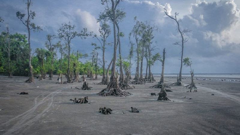 সমুদ্রসৈকত ছাড়াও যা আছে কুয়াকাটায়