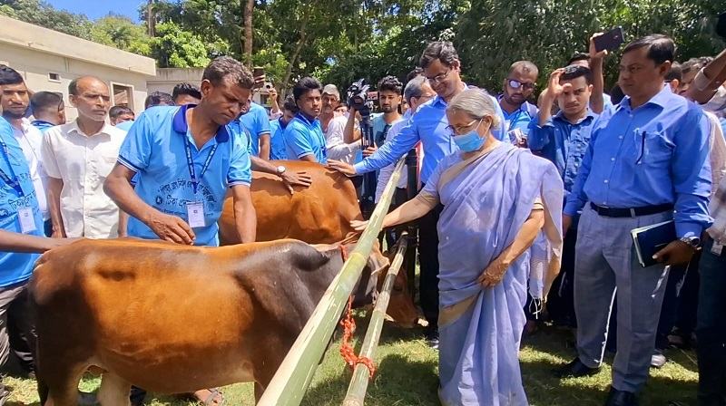 গুঁড়া দুধ আমদানি খরচের টাকা দিয়ে চিলিং সেন্টার করা সম্ভব: প্রাণিসম্পদ উপদেষ্টা