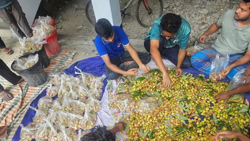রাবির হলে ব্যতিক্রমী লিচু উৎসব