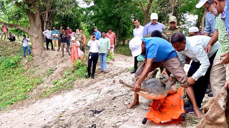 রাজশাহীতে দেশের প্রথম ঘড়িয়াল প্রজনন কেন্দ্র উদ্বোধন