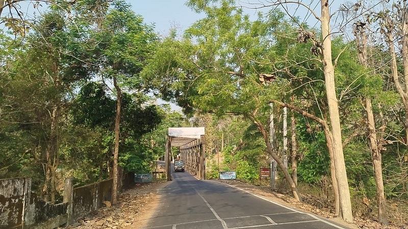 রাঙ্গামাটিতে কাঠ উদ্ধারে গিয়ে হামলার শিকার বনকর্মীরা, আহত ৩