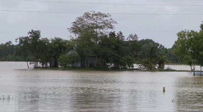 আখাউড়ায় কমতে শুরু করেছে উজানের ঢলের পানি