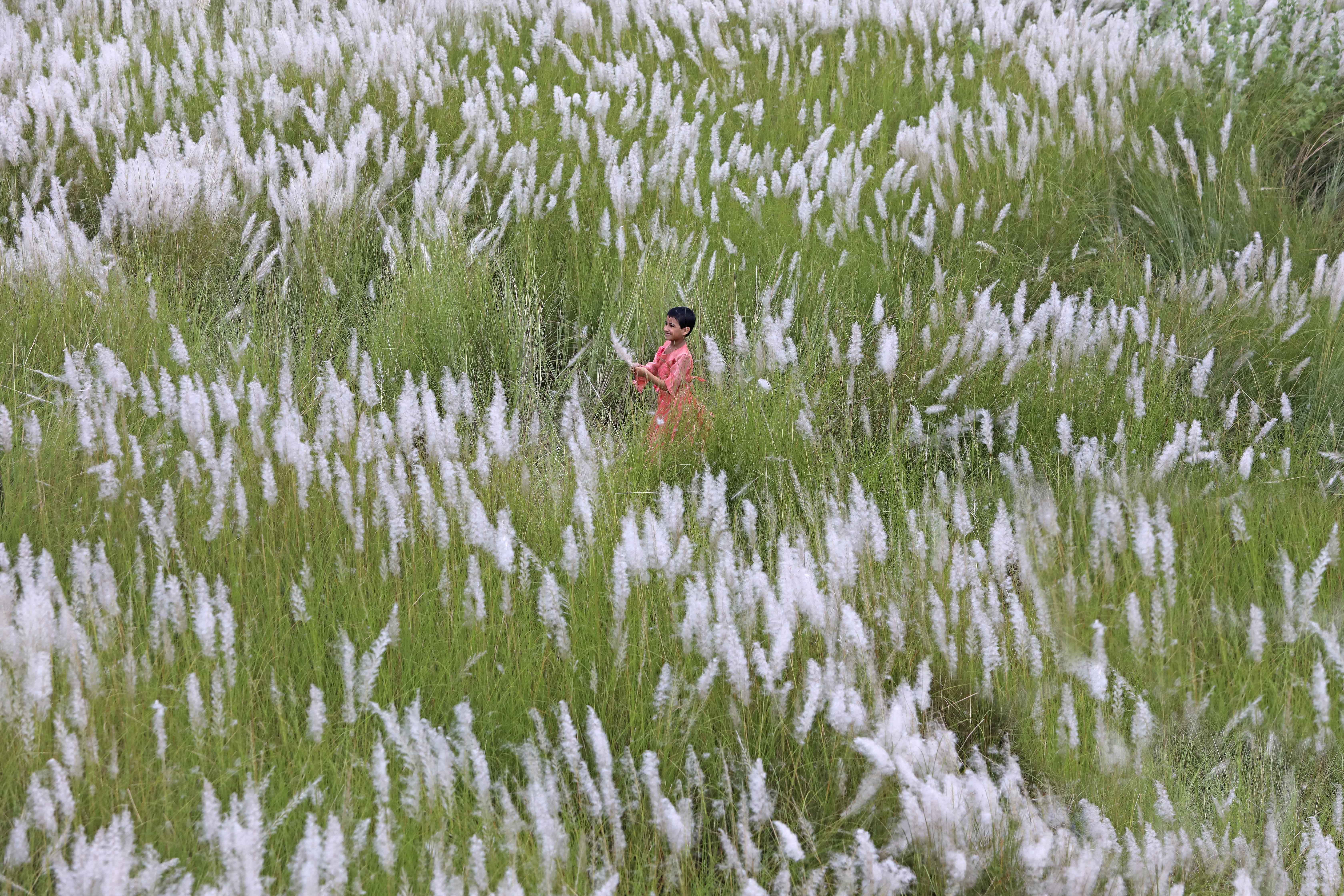 দুই শতকে প্রকৃতির সঙ্গে মানুষের সংযোগ কমেছে ৬০ শতাংশের বেশি