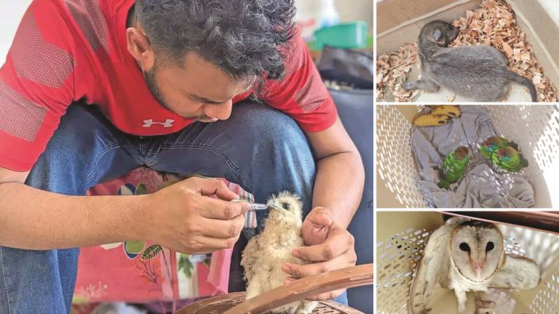 বন্যপ্রাণী সুরক্ষায় শাবিপ্রবির ‘গ্রিন এক্সপ্লোর সোসাইটি’