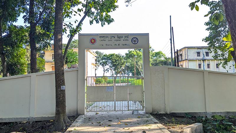 ঝিনাইদহে অলস পড়ে আছে তুঁতবাগান