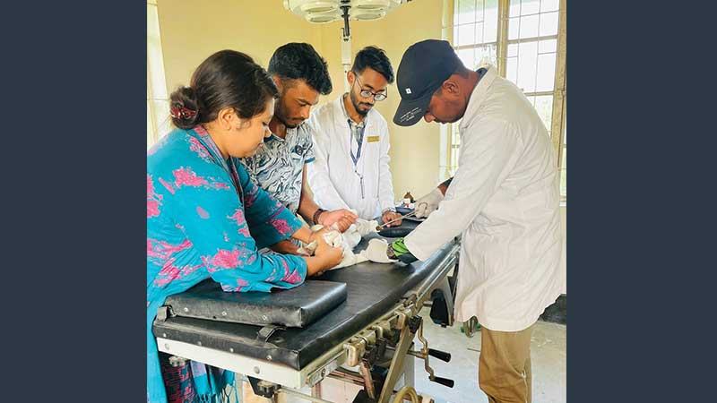 রাবিতে বিনামূল্যে চিকিৎসাসেবা পাচ্ছে পোষা প্রাণী