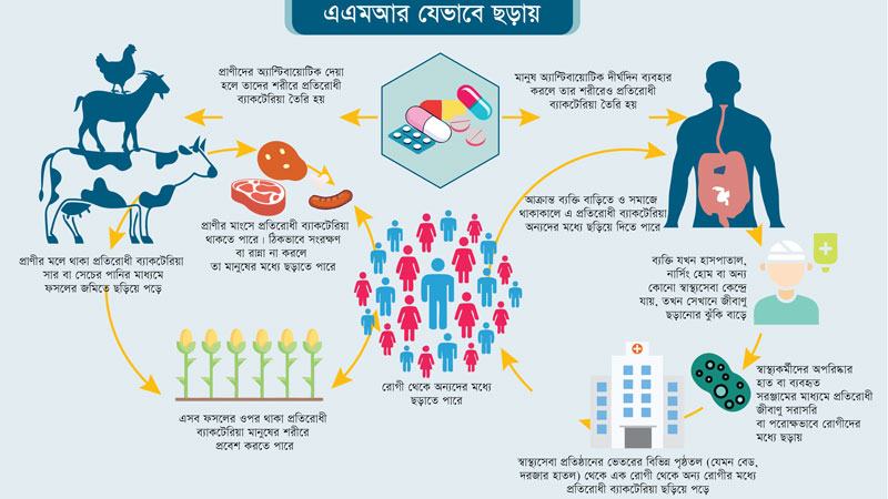 নদী-খাল থেকে হাসপাতাল: অ্যান্টিবায়োটিক প্রতিরোধী জীবাণুর ভয়ংকর যাত্রা