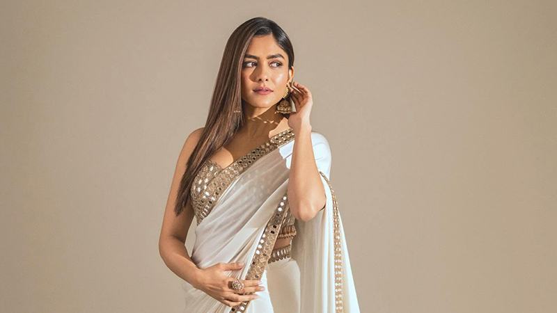 চার বছর পর আসছে ম্রুণাল-হুমার সিনেমা