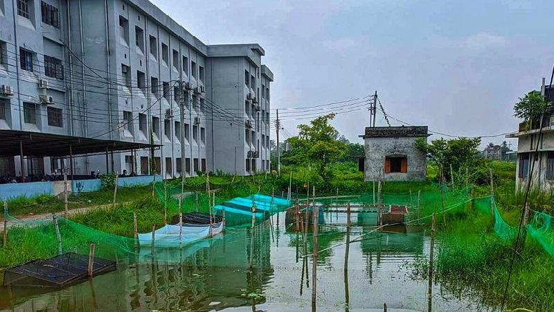 রাজশাহী বিশ্ববিদ্যালয়ের গবেষণা পুকুরের মাছ চুরি