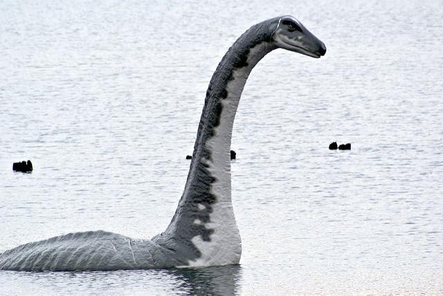 1861886927_2adcb7e2c7_z