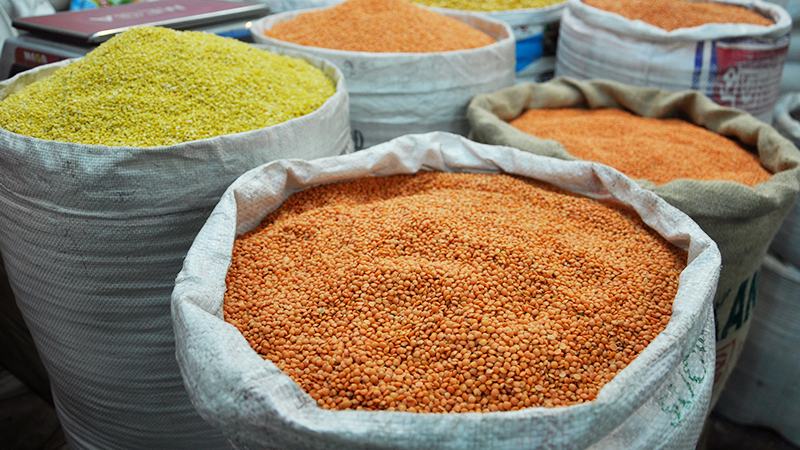 সাতক্ষীরায় ডালজাতীয় ফসল উৎপাদন কমেছে ৬০-৭৫%