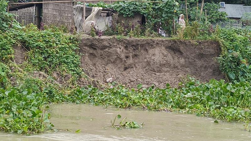 আড়িয়াল খাঁ নদীগর্ভে বসতবাড়ি ও শিক্ষাপ্রতিষ্ঠান, আতঙ্কে তীরের মানুষ