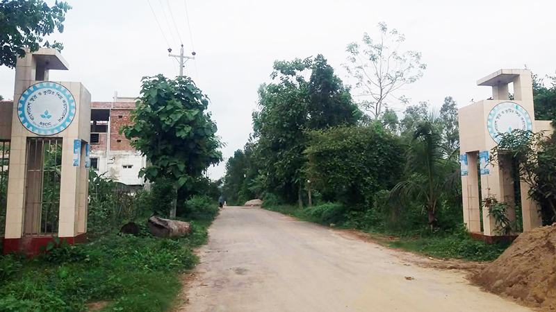 ছয় বছরে উৎপাদনে আট শিল্পপ্রতিষ্ঠান, কর্মসংস্থান কেবল ৫৫ জনের