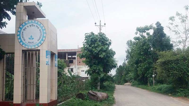 খালি পড়ে আছে বিসিকের শত শত শিল্পপ্লট, বারবার বিজ্ঞপ্তিতেও  মিলছে না উদ্যোক্তা