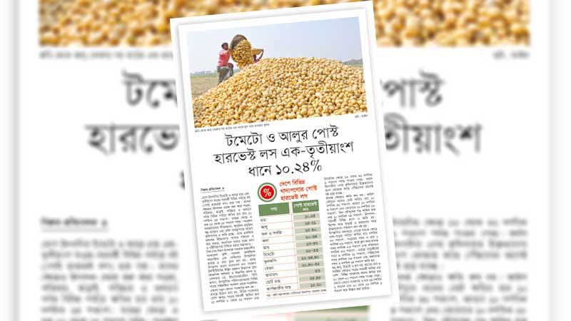 খাদ্যনিরাপত্তা ও দারিদ্র্যের ঝুঁকি বাড়াচ্ছে সংগ্রহ-পরবর্তী ক্ষতি