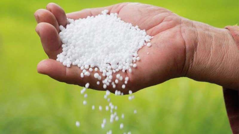 নিজেদের জাহাজে ইউরিয়া পৌঁছে দিচ্ছে আমিরাতের ফার্টিগ্লোব