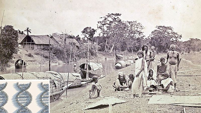 ইতিহাস, রাজনীতি ও নৃবিজ্ঞান