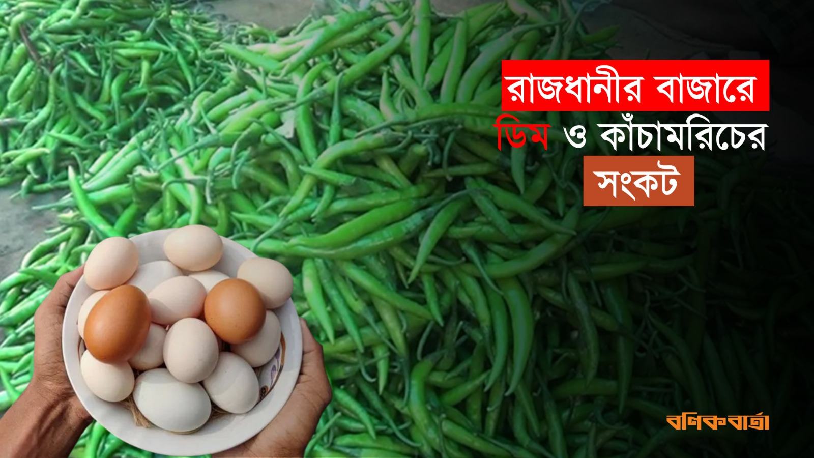 রাজধানীর বাজারে ডিম ও ‍কাঁচামরিচের সংকট