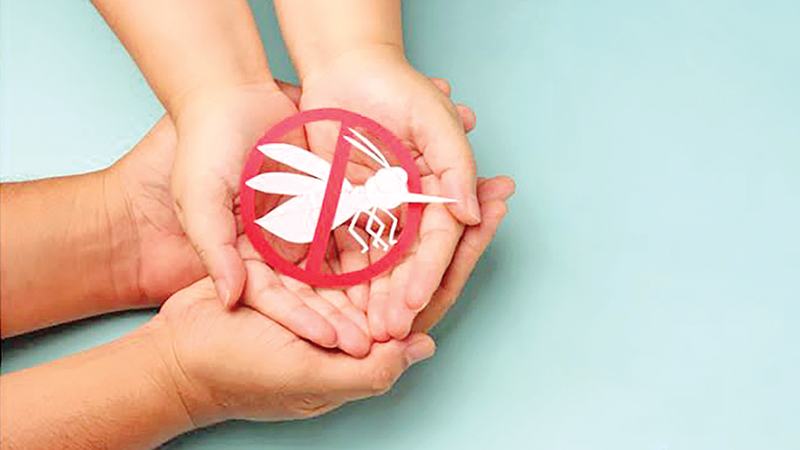 এডিস মশা থেকে সুরক্ষায় সতর্কতা জরুরি