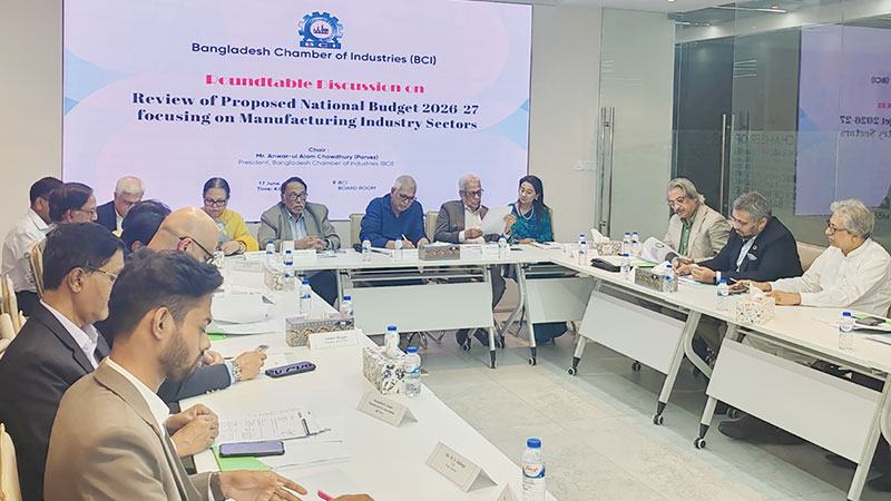 সরকারি ঋণ বাড়লে সংকুচিত হতে পারে বেসরকারি খাতের ঋণপ্রবাহ