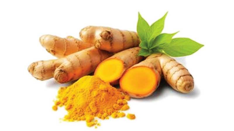 সাতক্ষীরায় গুঁড়া হলুদের দরপতন