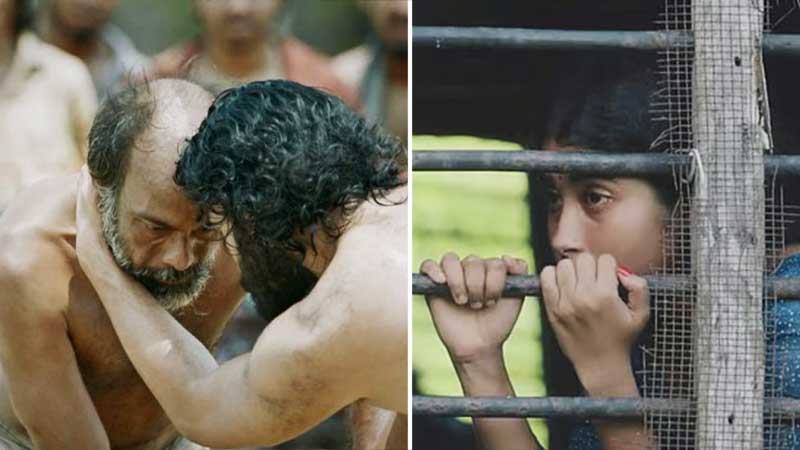 বছরজুড়ে নানা চ্যালেঞ্জ থাকলেও নতুনত্ব এসেছে সিনেমায়