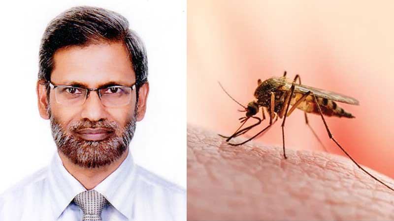 ম্যালেরিয়া প্রতিকারের চেয়ে প্রতিরোধ জরুরি