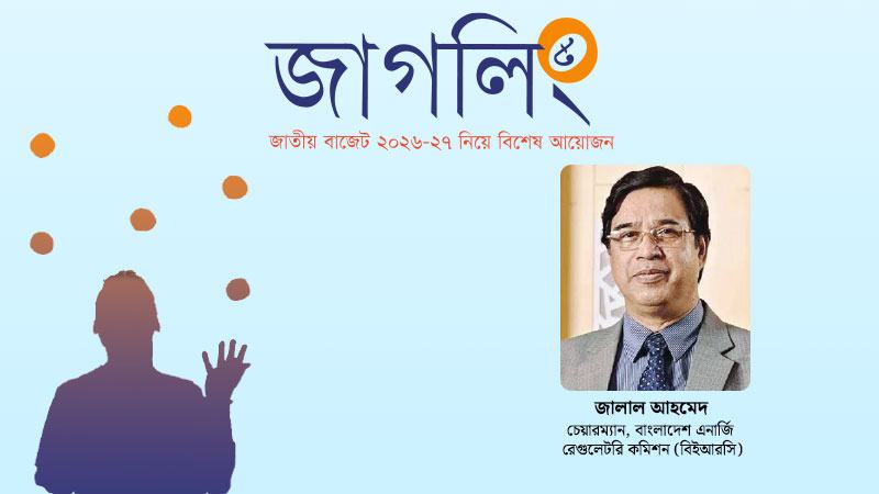 বিদ্যুতের ভর্তুকি থেকে বের হতে প্রাথমিক জ্বালানিতে বিনিয়োগ বাড়ানো জরুরি