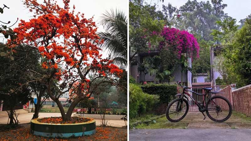 ক্যাম্পাসেও এসেছে বসন্ত