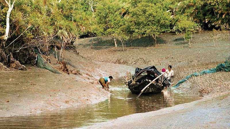 নিষেধাজ্ঞার মাঝেই সুন্দরবনে বিষ প্রয়োগে মাছ শিকার