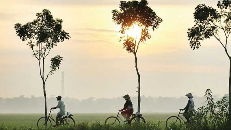 গরমে মৃত্যুর হার কম নয়!