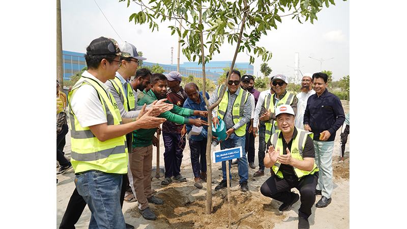 অর্থনৈতিক অঞ্চলগুলোতে ২ লাখ গাছের চারা রোপণ