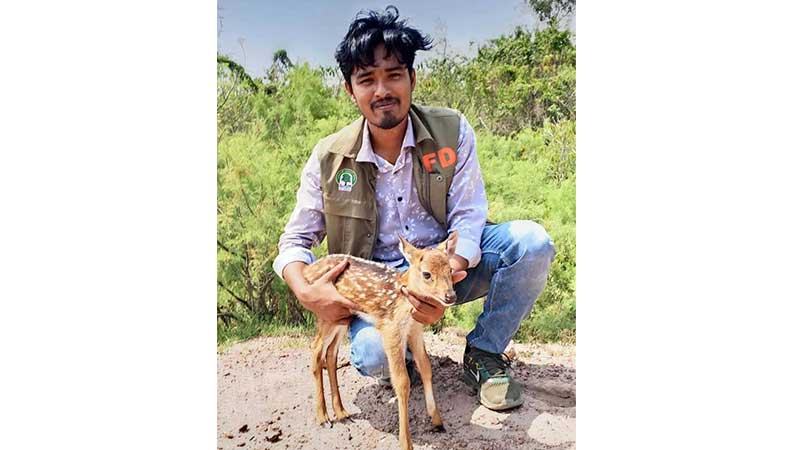 উপকূলীয় বনাঞ্চল ধ্বংসে অস্তিত্ব সংকটে মিরসরাইয়ের বন্যপ্রাণী
