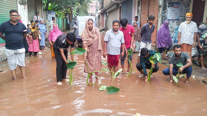 সড়কে জলাবদ্ধতায় কচুগাছ লাগিয়ে প্রতিবাদ