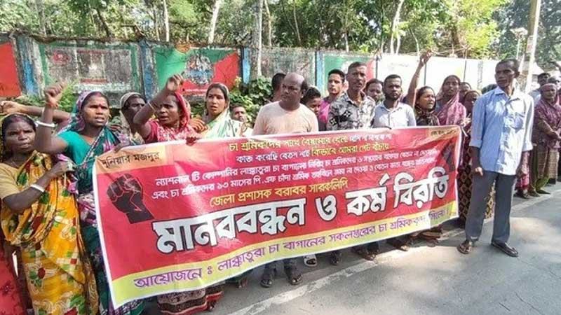 ন্যাশনাল টি কোম্পানির শ্রমিকরা কর্মবিরতিতে, উৎপাদন ব্যাহত