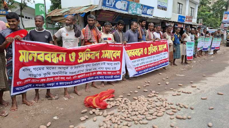 নওগাঁয় সড়কে আলু ফেলে কৃষকের প্রতিবাদ