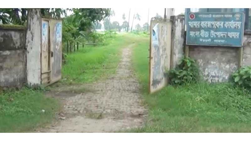 পাঁচ বছর ধরে কার্যত বন্ধ মাছের পোনা উৎপাদন