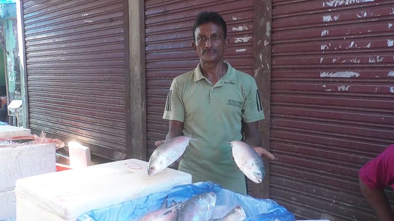 ভারত থেকে ইলিশ আমদানি বন্ধ