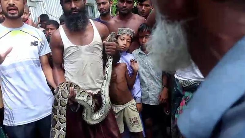 কুড়িগ্রামে ১০ ফুট লম্বা অজগর উদ্ধার