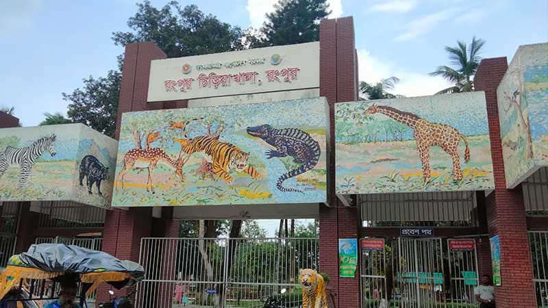 বুড়ো ও সঙ্গীহীন প্রাণীতে নিষ্প্রাণ