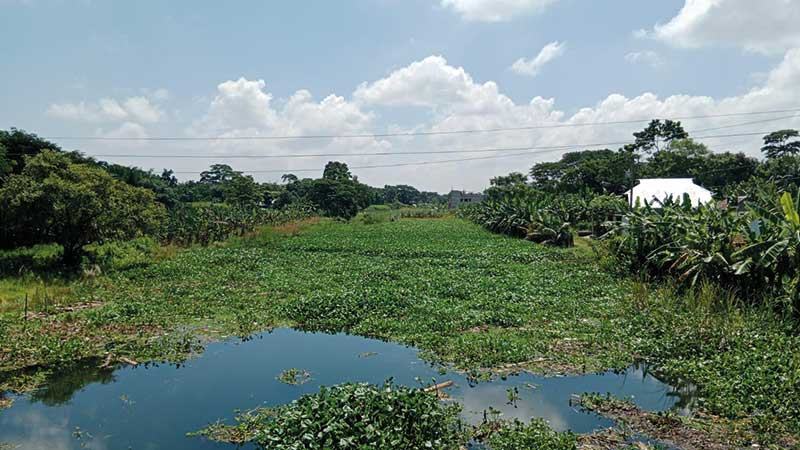 দখল ও ভরাটে বর্ষায়ও নেই ময়নাকাটা নদীর স্বাভাবিক পানিপ্রবাহ