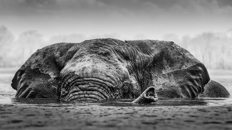 3-liwonde-2012-photo-federico-veronesi