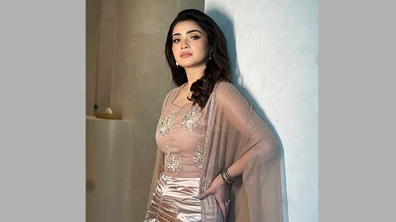 ‘ভালোবাসার মরশুম’-এ থাকছেন না তিশা