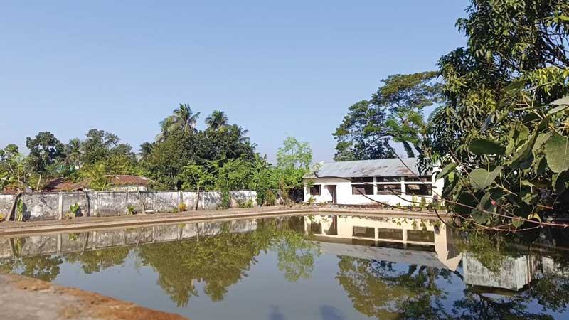 রেণু উৎপাদন বন্ধ এক দশক ধরে, ব্যয় বাড়ছে খামারিদের