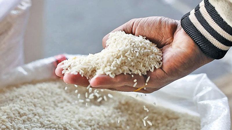 চাল উৎপাদন কমতে পারে