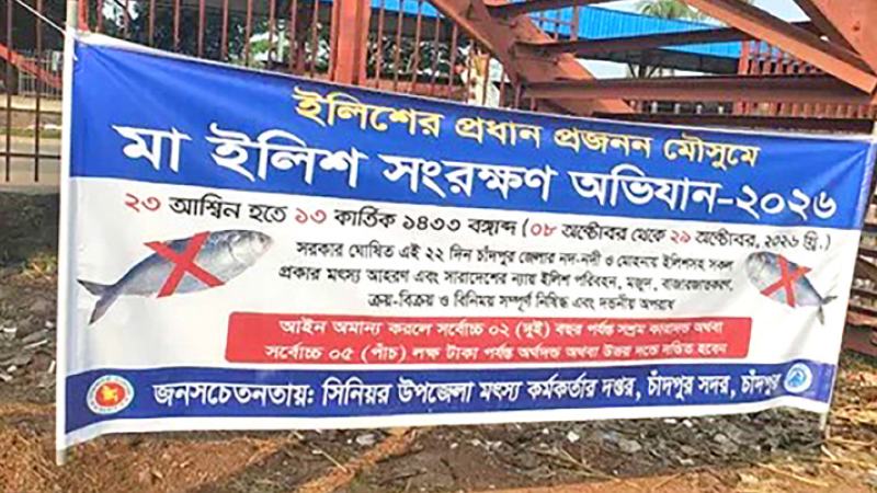 চাঁদপুরে ২৫ হাজার মিটার জাল জব্দ, তিন হোটেলকে জরিমানা