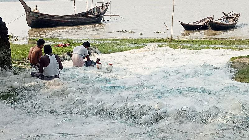 নিষেধাজ্ঞা শেষে নদীতে নেমে মিলছে না কাঙ্ক্ষিত ইলিশ