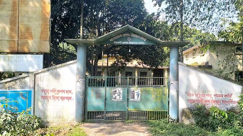 স্বল্প পরিসরে তুঁতগাছের চারা উৎপাদন হলেও বন্ধ বাকি সব কার্যক্রম