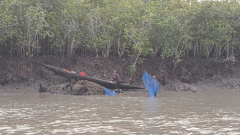 সুন্দরবনের অভয়াশ্রমে নিষিদ্ধ জালে ধ্বংস হচ্ছে মাছের পোনা
