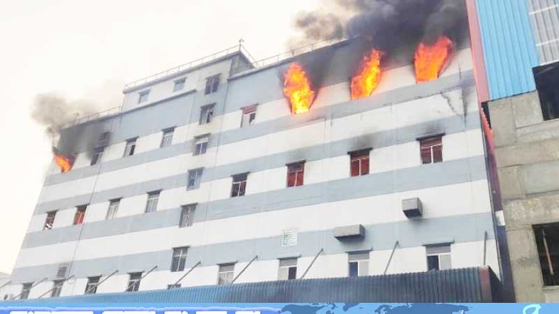 নারায়ণগঞ্জে মেঘনা গ্রুপের টিস্যু কারখানায় আগুন